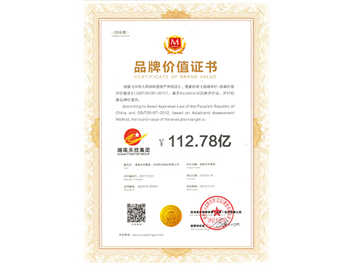 中国品牌500强-品牌价值证书