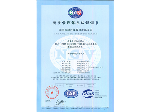 ISO9001 中文版