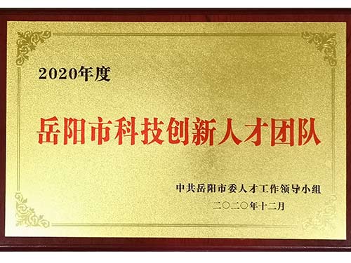 岳阳市科技创新人才团队 2020年